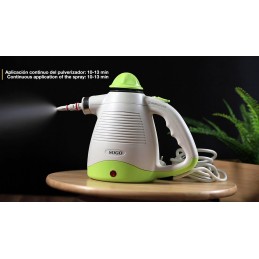 2 in 1 Steam Cleaner